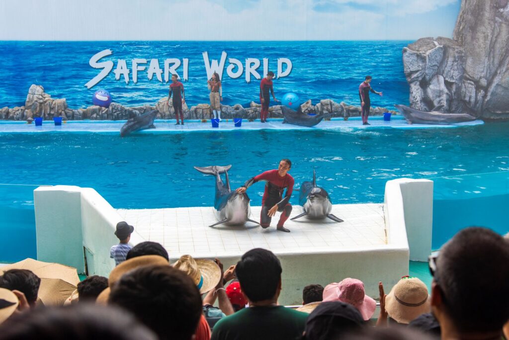 Dolphin show safari world